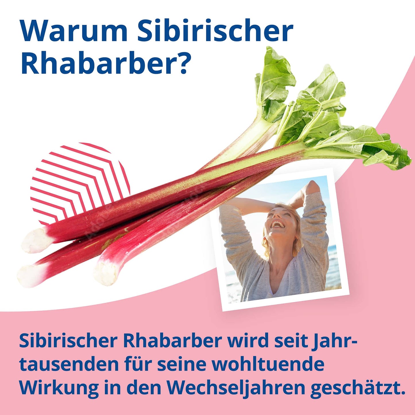 Botanical Health - MENOVITAL