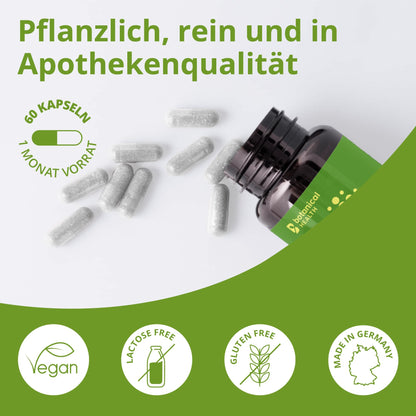 Botanical Health - REJUVAL ANTI AGE