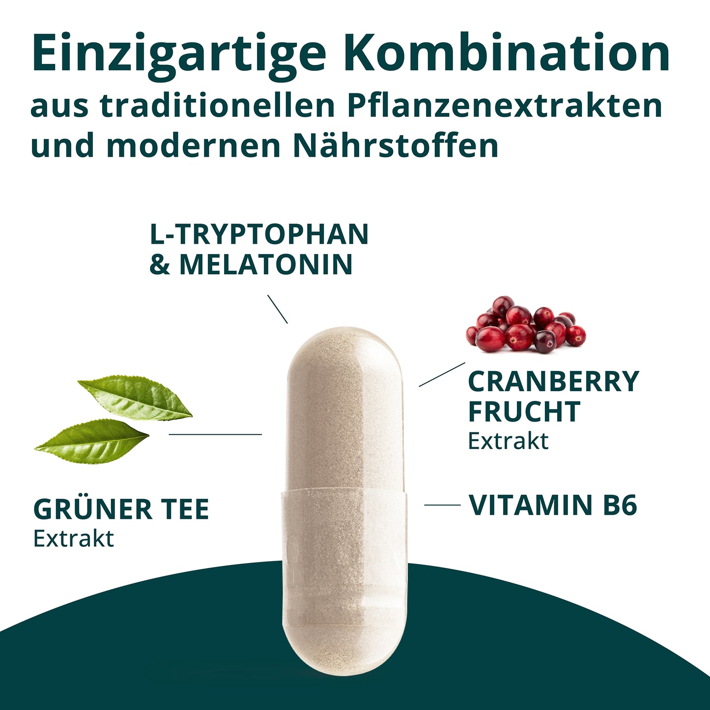 Botanical Health - SLEEP WELL